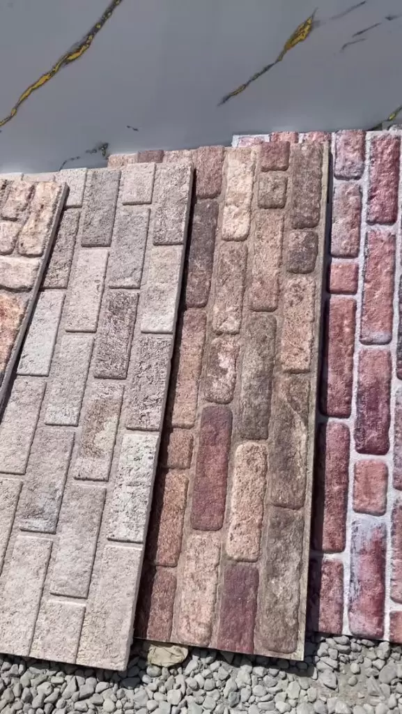 491446097 1904700430341538 4777497902791765601 n